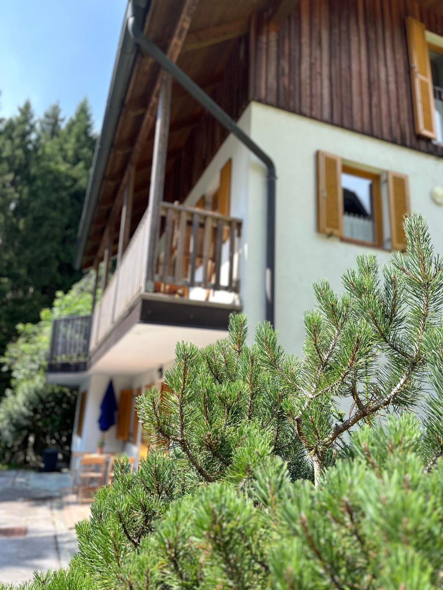 Chalet Harmony Rogla - Apartment Zreče Eksteriør bilde